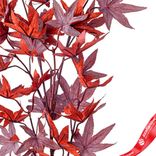 Маленькое фото 3: Ветка клена искусственная (пластик), 78см, бордовый