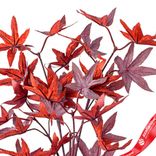 Маленькое фото 4: Ветка клена искусственная (пластик), 78см, бордовый