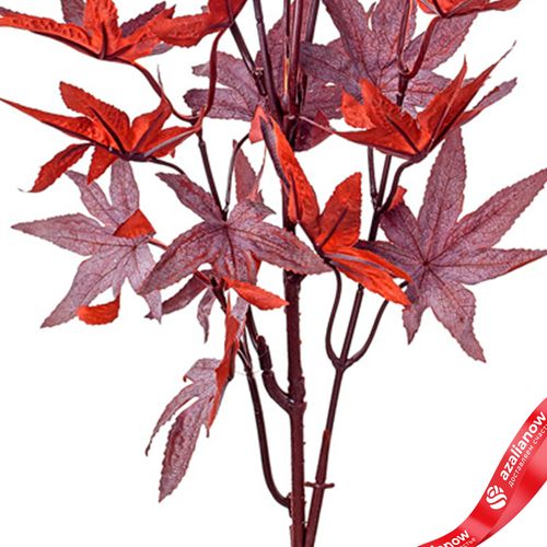 Фото 5: Ветка клена искусственная (пластик), 78см, бордовый