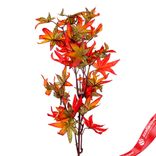 Маленькое фото 1: Ветка клена искусственная (пластик), 78см, зеленый/оранжевый