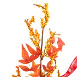 Маленькое фото 5: Ветка искусственная «Осенняя с ягодами», H62 см, оранжевый