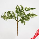 Маленькое фото 1: Ветка «Папоротник с глиттером», 27см, зеленый