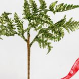 Маленькое фото 2: Ветка «Папоротник с глиттером», 27см, зеленый