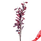 Маленькое фото 1: Ветка с листьями искусственная (пластик), 110см, бордовый