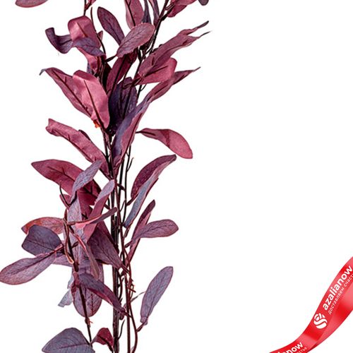 Фото 3: Ветка с листьями искусственная (пластик), 110см, бордовый
