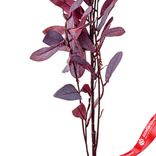 Маленькое фото 5: Ветка с листьями искусственная (пластик), 110см, бордовый