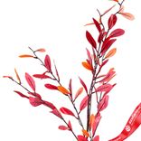 Маленькое фото 2: Ветка с листьями искусственная (пластик), 110см, красный