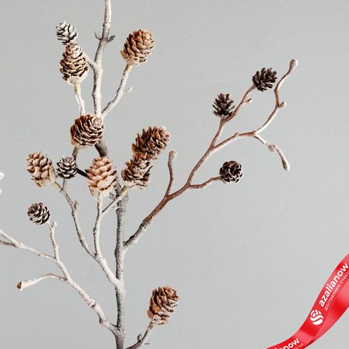 Фото 3: Ветка с шишками, 79см, коричневый