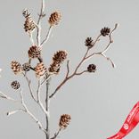 Маленькое фото 3: Ветка с шишками, 79см, коричневый