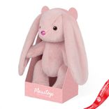 Маленькое фото 1: Игрушка м/н «Зайка» в подарочной коробке, 20см, розовый