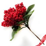 Маленькое фото 1: Ягоды на вставке, 13см, красный. Сервис доставки цветов AzaliaNow