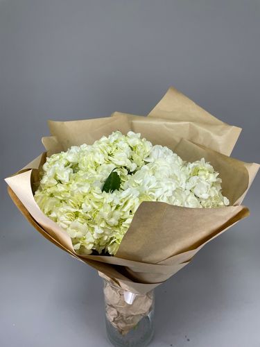 Фото флориста 4: Гортензии