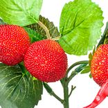 Маленькое фото 5: Ветка клубники, 28см, красный