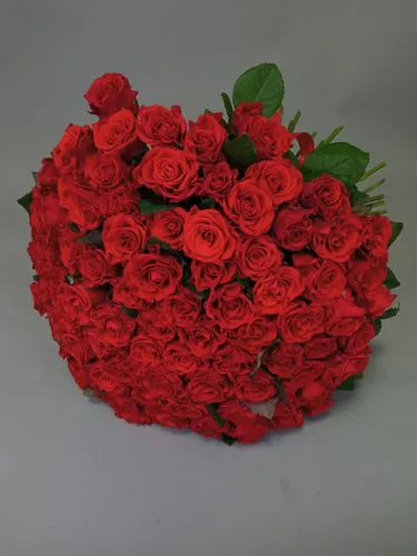 Показать все изображения