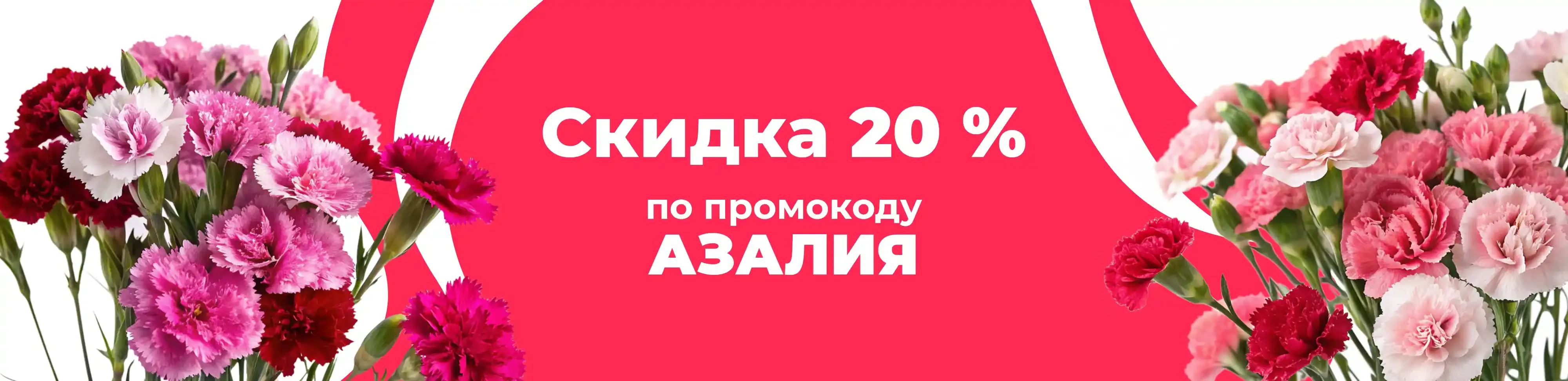 Баннер для рубрики: Диантусы