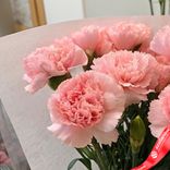 Маленькое фото 4: Букет из 9 розовых гвоздик в пленке. Сервис доставки цветов AzaliaNow