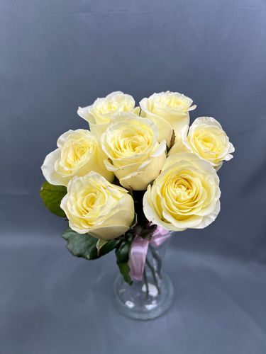 Показать все изображения