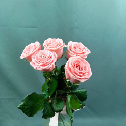 Показать все изображения