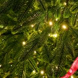 Маленькое фото 5: Ель искусственная с лампочками «Cамарская» (PE), 2,4м, зеленый
