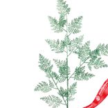 Маленькое фото 2: Ветка с глиттером, H84 см, зеленый