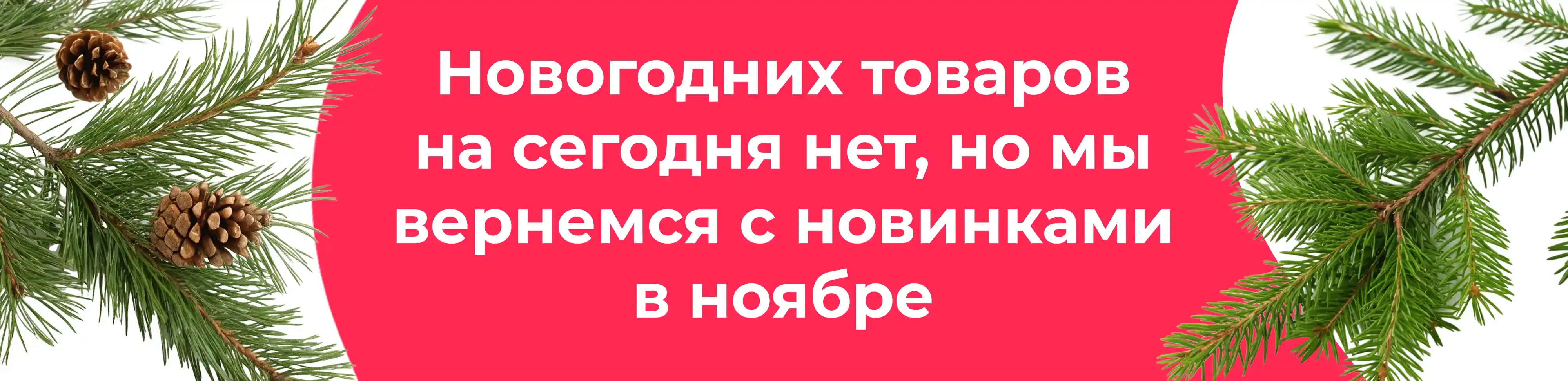 Баннер для рубрики: Еловые ветки