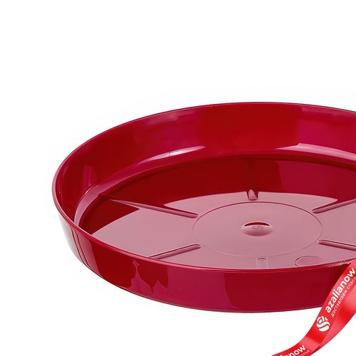 Фото 4: Поддон для цветочного горшка (пластик), D11,5см, красный