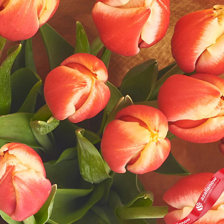 Фото 3: Букет из 25 красно-желтых тюльпанов в крафте. Сервис доставки цветов AzaliaNow