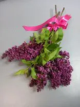 Акция! Букет из сирени S. Фото флориста - 0