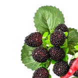 Маленькое фото 4: Ветка ежевики, 28см, черный