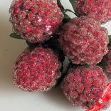 Маленькое фото 5: Набор малины засахаренной на вставках 10шт., D2,2x3xL11см, малиновый