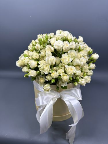 Фото флориста 1: Монобукеты