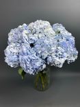 Фото флориста 1: Букет из 5 голубых гортензий