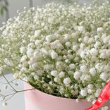 Маленькое фото 4: Букет из 7 белых гипсофил в розовой коробке