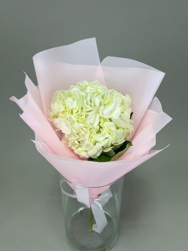 Фото флориста 1: Гортензии