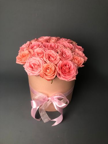 Показать все изображения