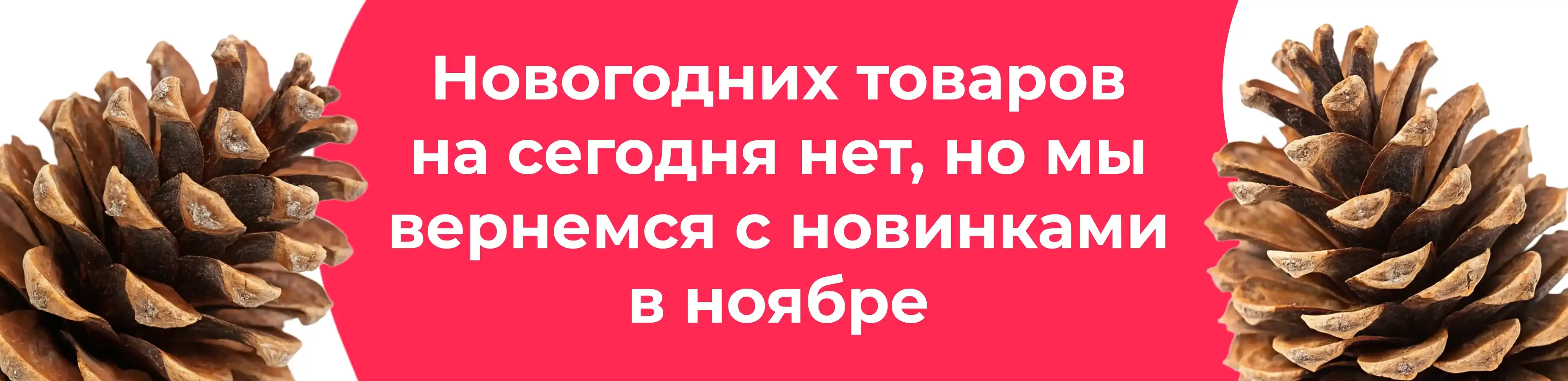 Баннер для рубрики: Шишки сосны