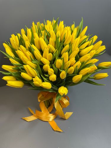 Показать все изображения