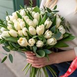 Маленькое фото 1: Весеннее вдохновение: 50 кремовых тюльпанов с рускусом. Сервис доставки цветов AzaliaNow