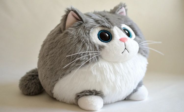 Серый плюшевый кот