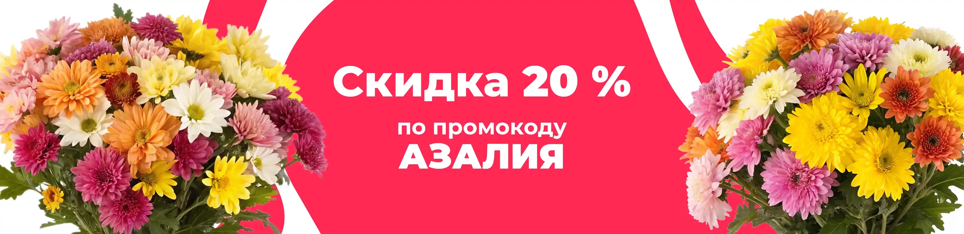 Баннер для рубрики: Хризантемы многолетние