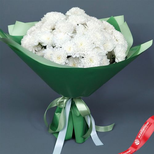 Фото 2: Букет из 15 белых кустовых хризантем «Алтай», в зеленой пленке с лентами