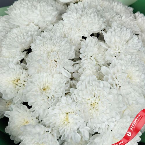 Фото 5: Букет из 15 белых кустовых хризантем «Алтай», в зеленой пленке с лентами