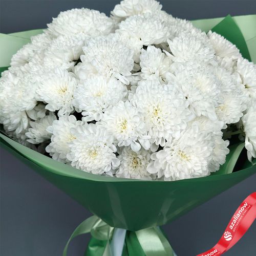 Фото 3: Букет из 15 белых кустовых хризантем «Алтай», в зеленой пленке с лентами