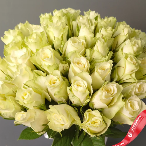 Фото 5: Букет из 51 розы с атласной лентой, цвет розовый/белый на выбор, Россия, 35 см