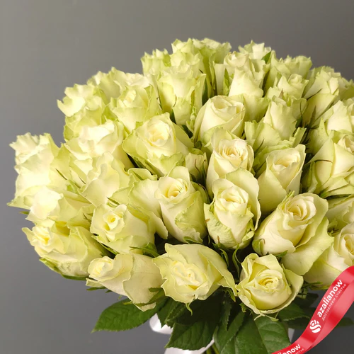 Фото 3: Букет из 51 розы с атласной лентой, цвет розовый/белый на выбор, Россия, 35 см