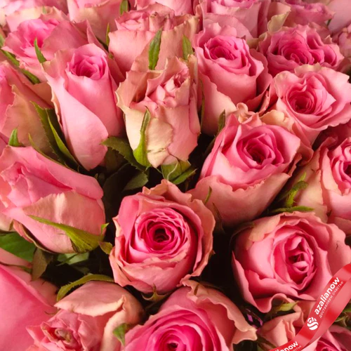 Фото 5: Букет из 51 розы в пленке, цвет розовый/белый на выбор, Россия, 35 см