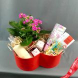 Маленькое фото 1: Подарочный набор «Для тебя родная» с Каланхоэ, ароматами для дома и свечами