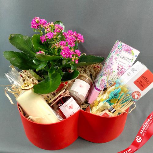 Фото 2: Подарочный набор «Для тебя родная» с Каланхоэ, ароматами для дома и свечами