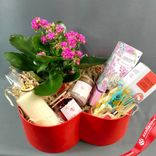 Маленькое фото 2: Подарочный набор «Для тебя родная» с Каланхоэ, ароматами для дома и свечами