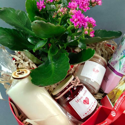 Фото 5: Подарочный набор «Для тебя родная» с Каланхоэ, ароматами для дома и свечами